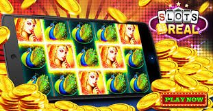 24 bet